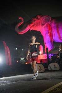 BIB: 
                            <button type="button" onclick="openModal(26531074)" class="btn btn-primary btn-sm float-right btn-popup" data-toggle="modal" data-target=".modal-high-quality">
                        <i class="fas fa-shopping-cart"></i> Add to Cart
                    </button>
                                            <button type="button" onclick="isThisMe(26531074, true)" class="btn btn-success btn-sm float-right btn-popup btn-isme hidden" data-toggle="tooltip" data-placement="bottom" title="นี่คือรูปของคุณใช่ไหม คลิกที่นี่เพื่อเอาเข้าอัลบั้ม">
                        <i class="fas fa-plus"></i> Add to album
                    </button>
                    <button type="button" onclick="isThisMe(26531074, false)" class="btn btn-warning btn-sm float-right btn-popup btn-isnotme hidden">
                        <i class="fas fa-ban"></i> Remove from album
                    </button>